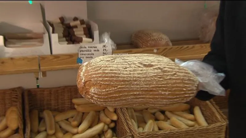 Rozhovor s Petrem Dufkem