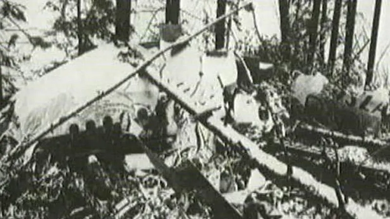 Trosky zříceného letadla u Srbské Kamenice