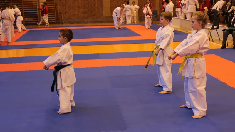 Stříbrný KATA Tým