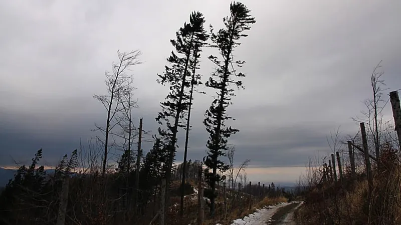 Vítr na hřebenech Beskyd