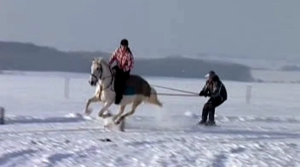 Horse skijöring