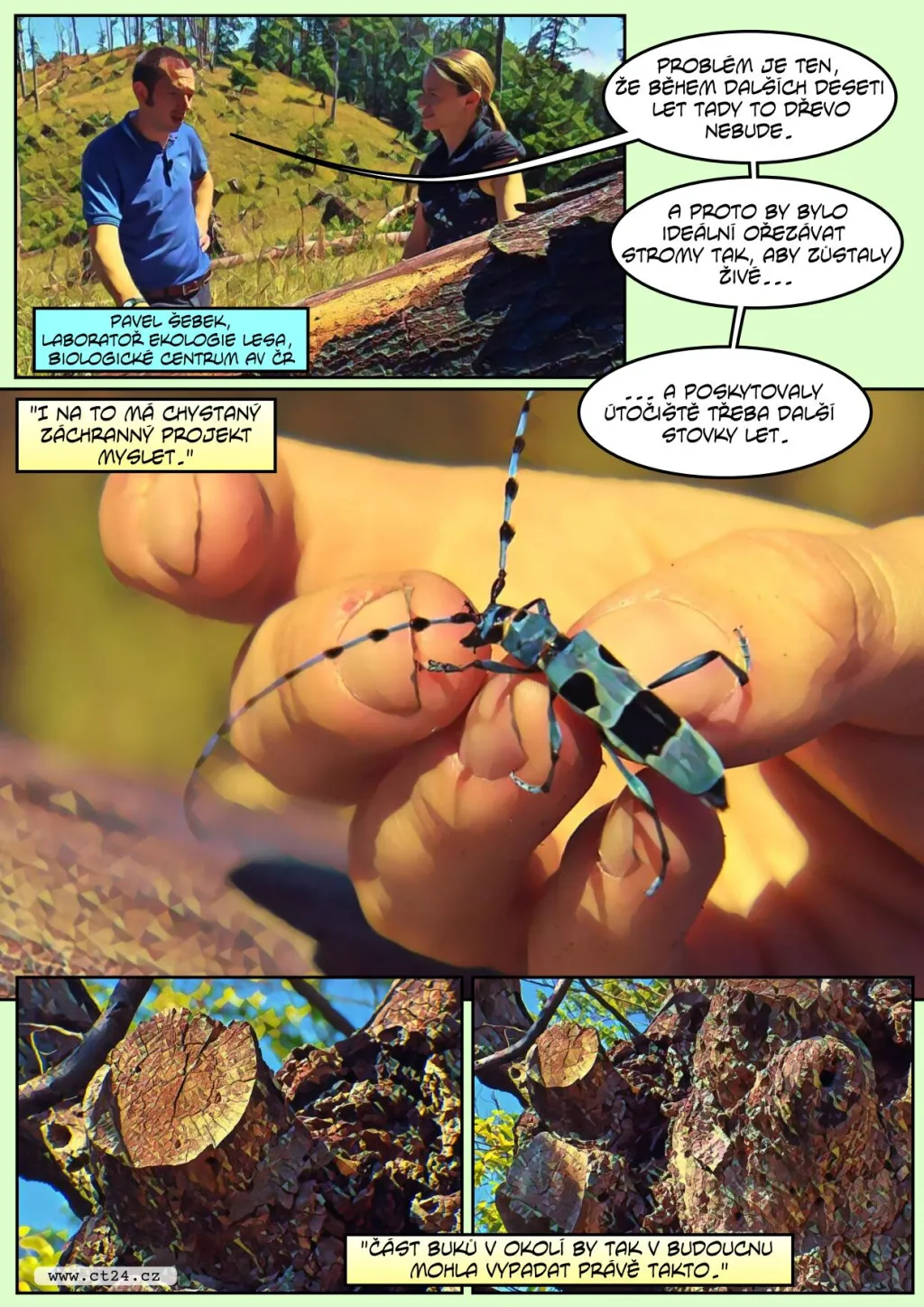 Vědci se snaží zachránit tesaříka