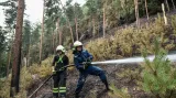 Požár lesa u obce Branžež
