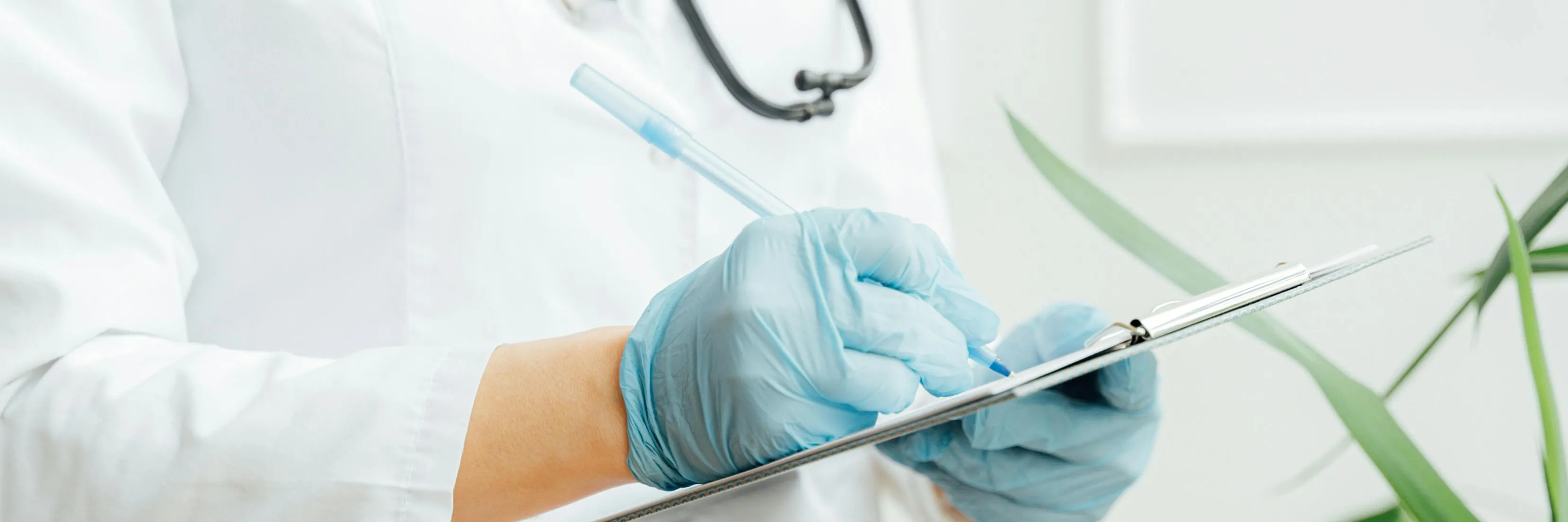 Případů žloutenky typu A je v Česku nejvíce od roku 1984