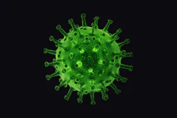 Covid má v Česku již více než 35 tisíc obětí. Laboratoř potvrdila omikron v Královéhradeckém kraji