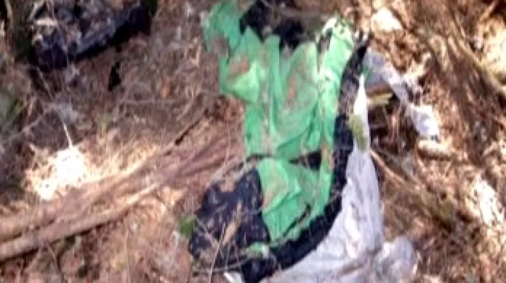 Ostatky nalezené na Slovensku