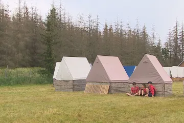 Skauty trápí kůrovec. Kvůli nebezpečným suchým stromům už museli opustit některá tábořiště 