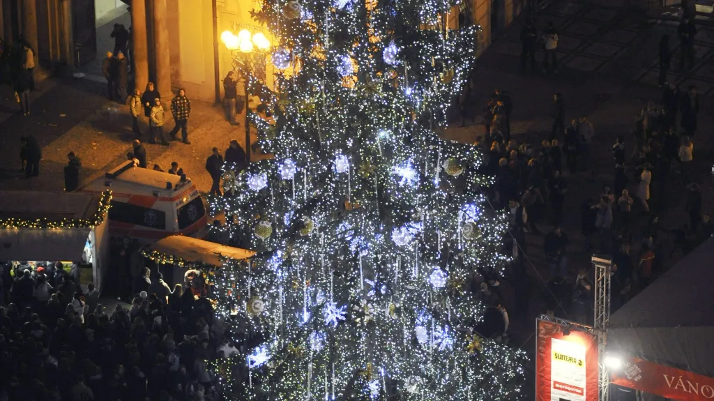 Letošní vánoční strom na Staroměstském náměstí