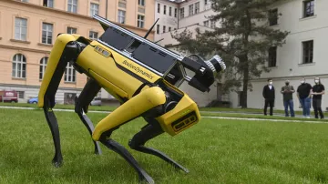 Robotický pes na ČVUT