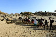 Etiopští vzbouřenci tvrdí, že zničili armádě celou divizi. Ta to popírá a očekává dobytí centra povstalců 