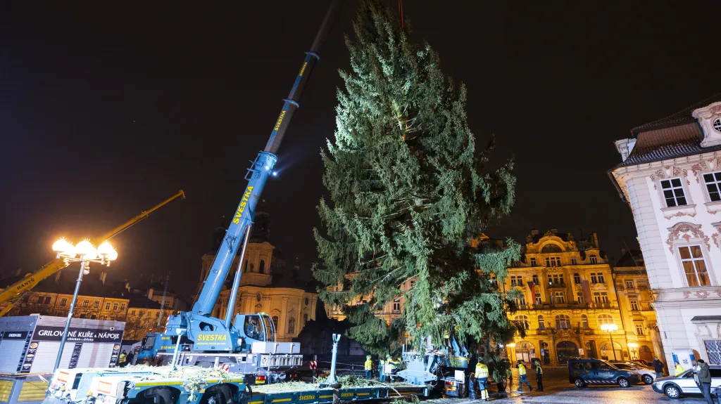 Události: Na pražském Staroměstském náměstí ukotvili vánoční strom