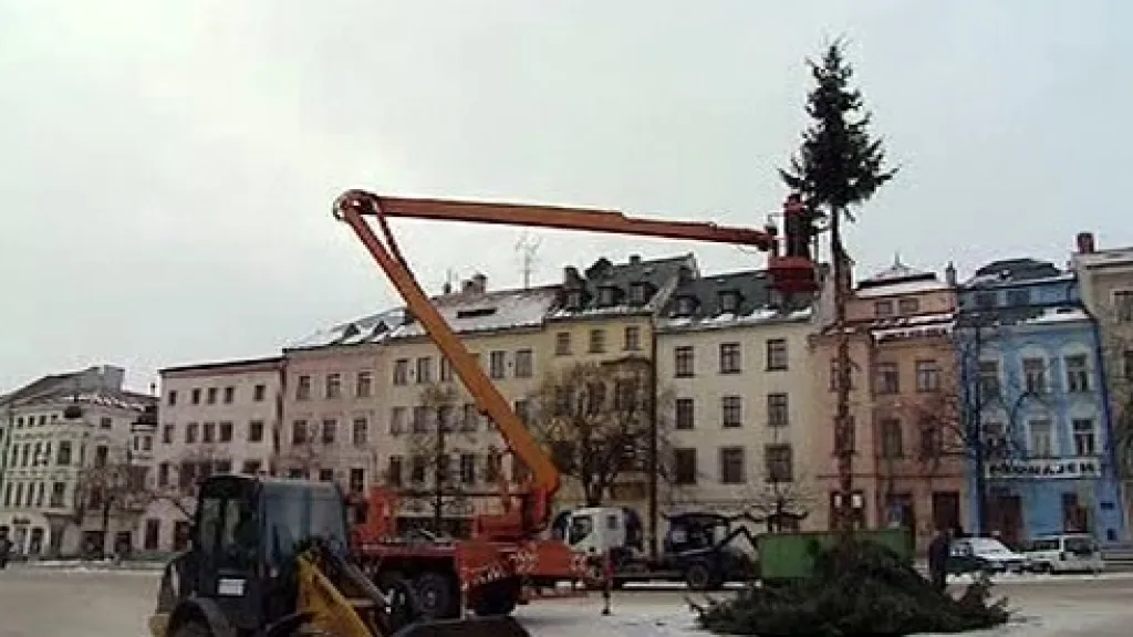 Likvidace vánočního stromu