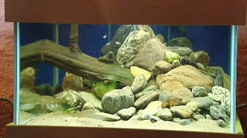 Výstava Pod hladinou Vltavy