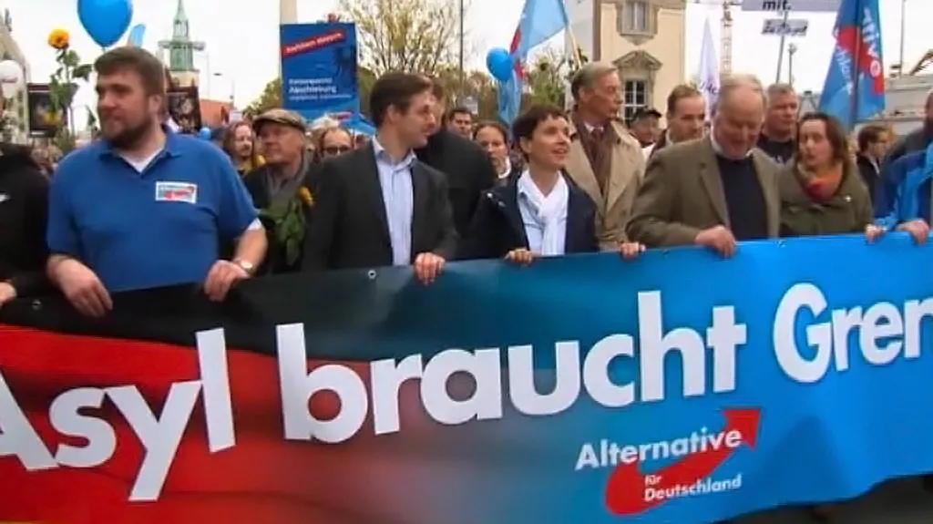 Demonstrace stoupenců AfD
