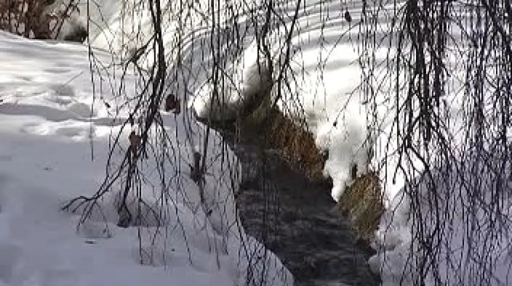 Kynžvartské okolí