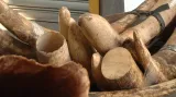 Slonovina