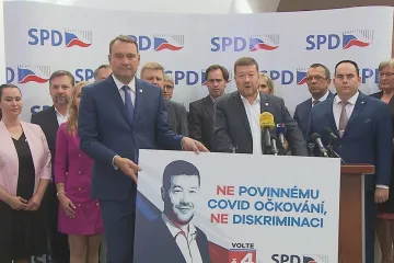 SPD zahájila horkou fázi kampaně, tématy jsou uznávání protilátek nebo odpor k migraci