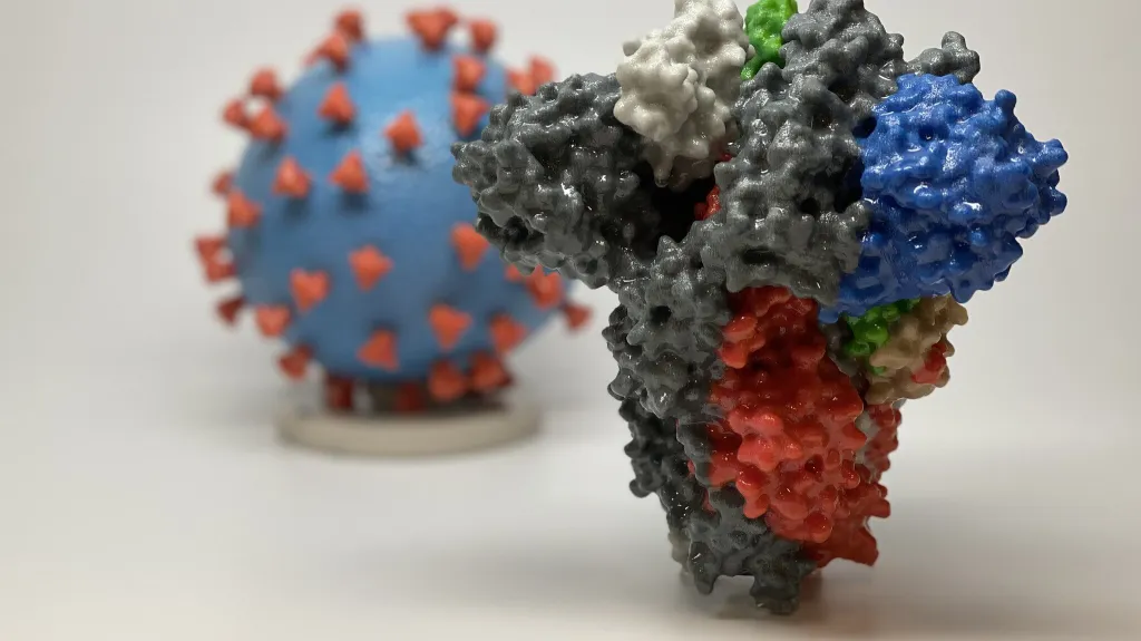 Ilustrační foto - modely koronaviru a spike proteinu, jímž virus proniká do buněk