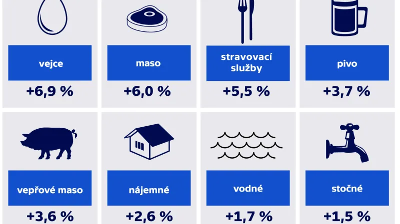 Meziroční růst cen podle vybraných položek v srpnu