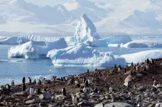 Antarktidu zasáhlo od léta přes 30 tisíc otřesů země. Vliv na ztrátu ledovců je neznámý