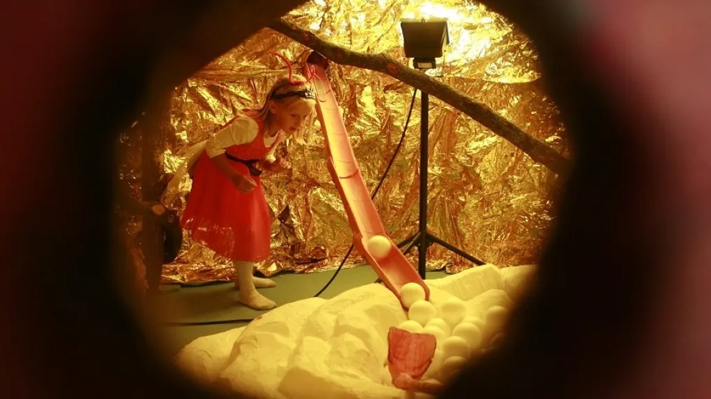 Výstava Mraveniště v písecké Sladovně