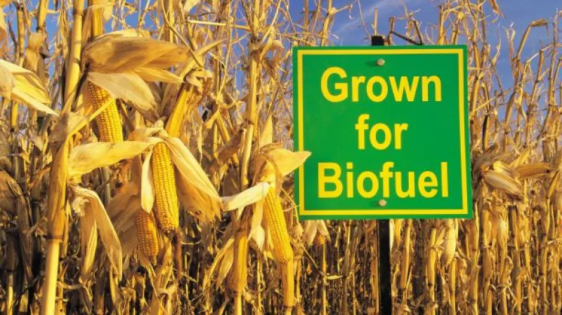 Kalousek: Babišovo ANO se samo usvědčilo ze lži