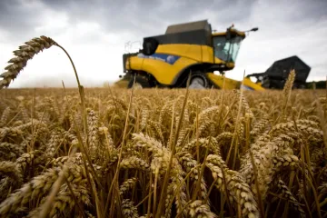 Letošní žně se vydařily, radují se zemědělci