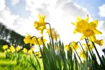 Horký únor v Evropě: Ve Francii naměřili 27 stupňů, ve Švýcarsku téměř 24