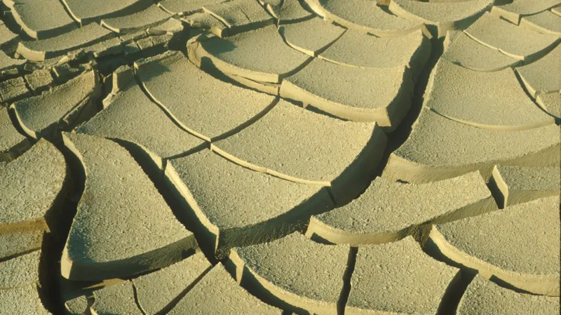 Izrael se potýká se suchem