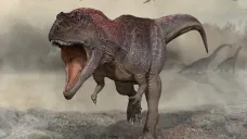 Umělecká rekonstrukce objeveného dinosaura