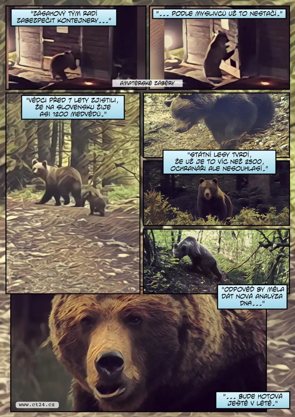 Medvědi na Slovensku