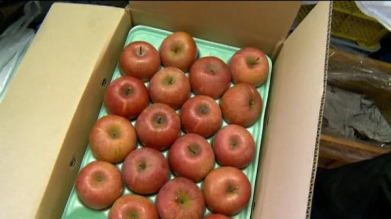 Reportáž Tomáše Etzlera