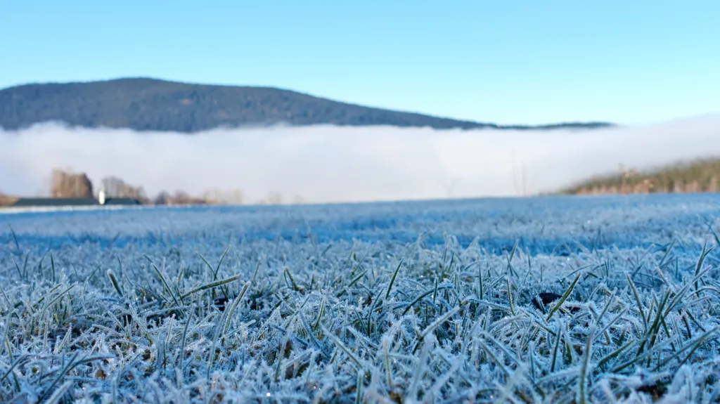 Šumava, ilustrační foto