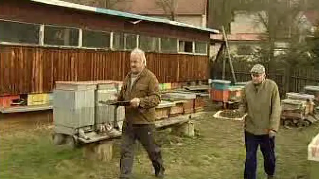 Pohřbívání včel