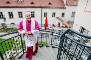 Na procházku, výstavu nebo koncert. Brněnské biskupství zpřístupnilo zahrady pod Petrovem