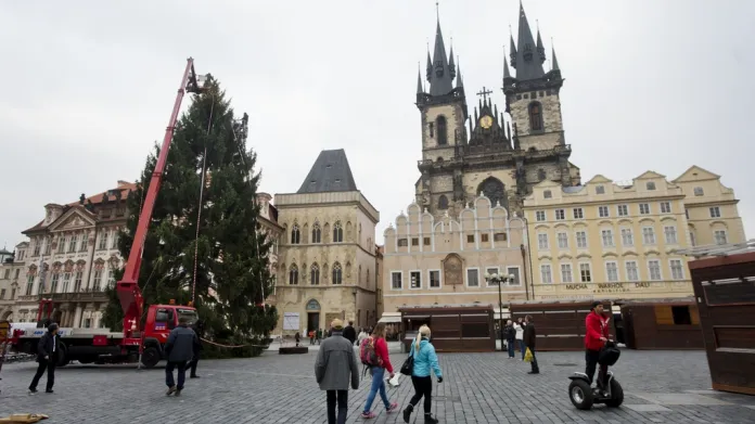 Vánoční strom letos pochází z Nespek u Prahy