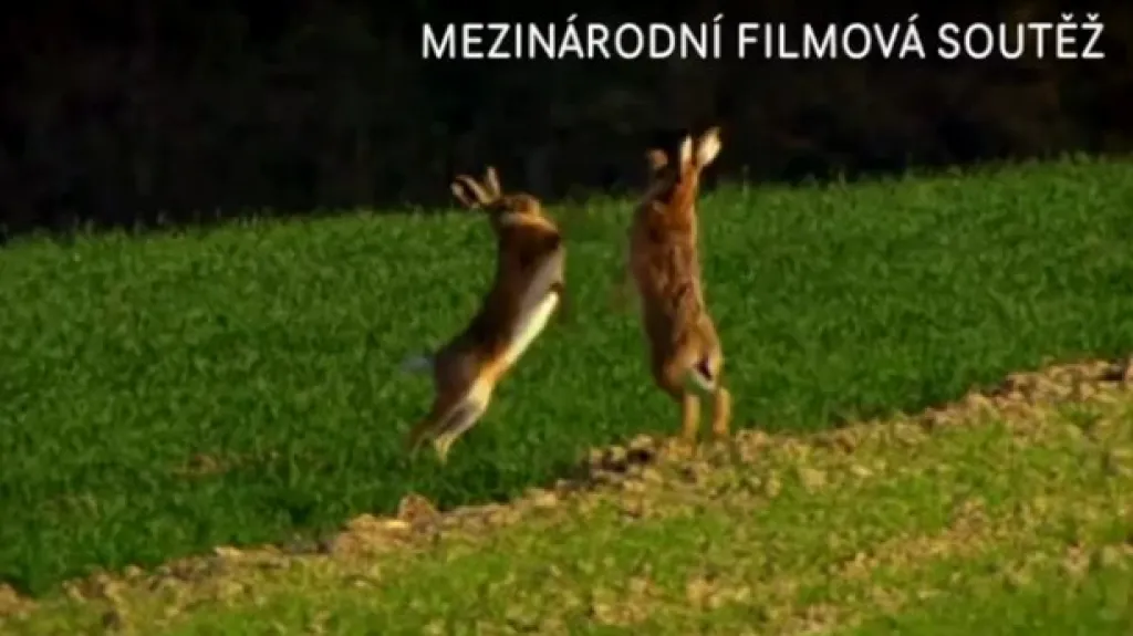 Life Sciences Film Festival