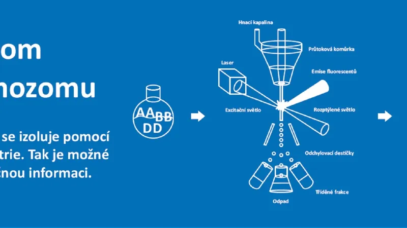 Chromozom po chromozomu