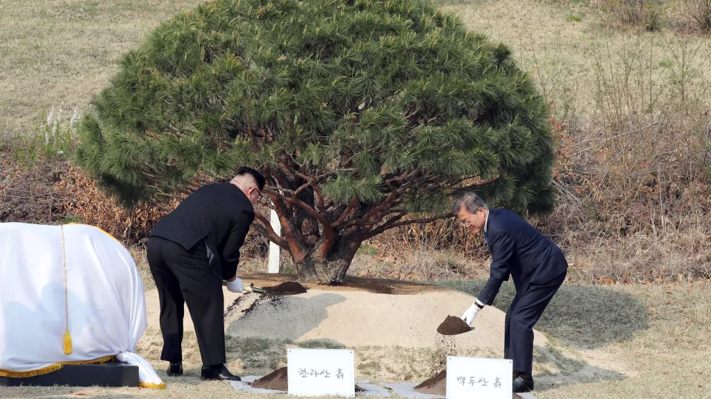 Kim Čong-un a Mun Če-in zasazují v demilitarizovaném pásmu borovici