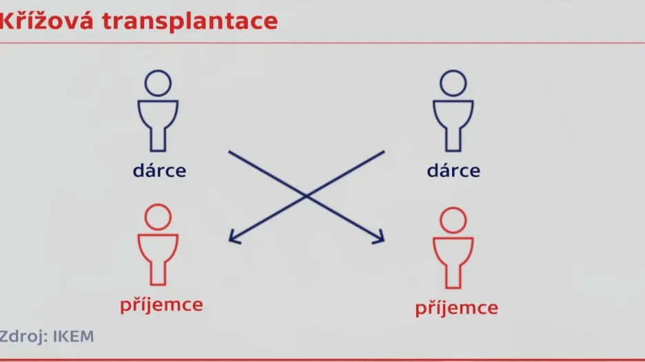 Křížová transplantace