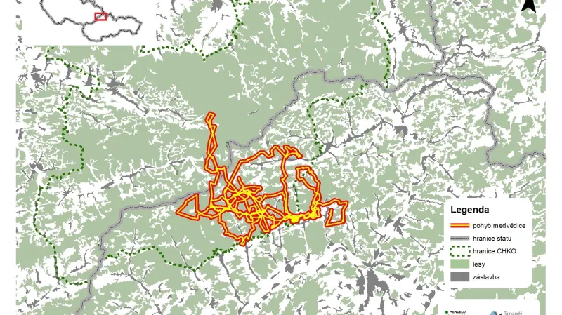 Mapa pohybu medvědice