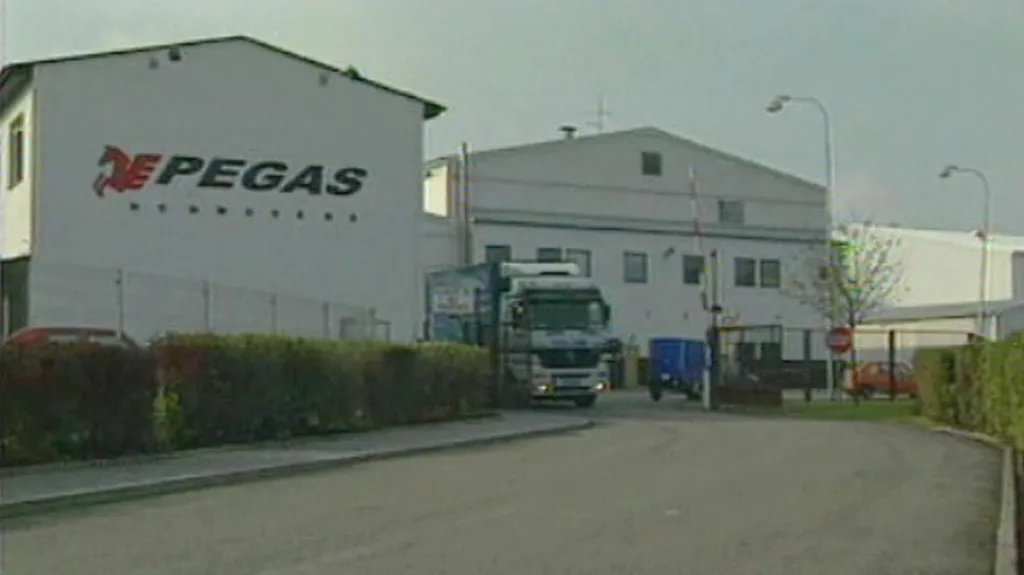 Pegas Nonwovens