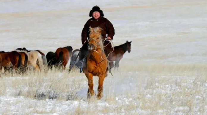 Mongolský prezident Cachjagín Elbegdordž si od autorů Twiplomacy vysloužil pochvalu za nejlepší využití fotek na svém profilu - zde projíždí na koni zasněženou stepí.
