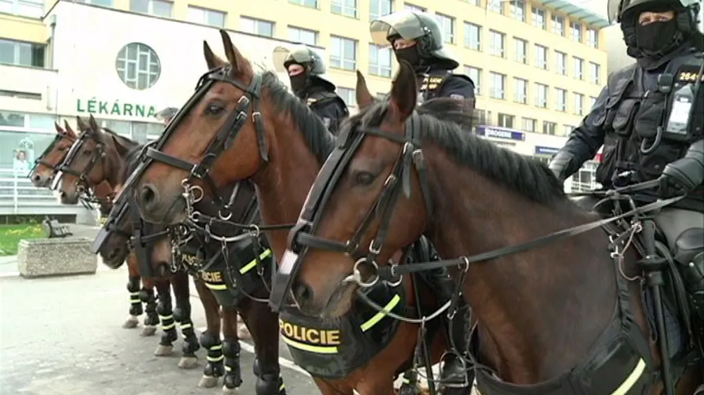 Policie v akci
