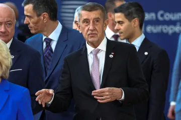 Babiš trvá na zákonu o neziskových organizacích, ty potřebné podle něj určí ministři