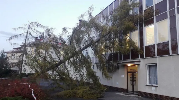 Strom spadlý na budovu v Chotěboři