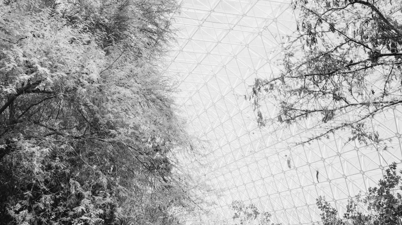 Philip Gaisser / Ocean, Biosphere II, 2013