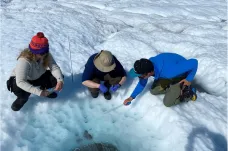 Pod grónským ledem žijí tisíce druhů mikroorganismů. Už to nejsou oázy, ale úplné pralesy, ukazuje terénní výzkum