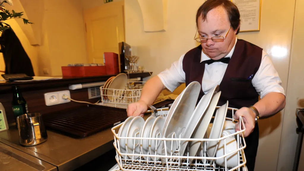 Zaměstnávání handicapovaných