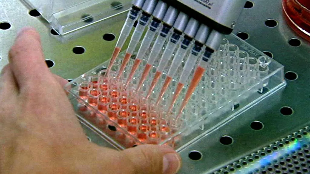 Laboratorní výzkum